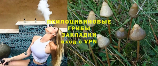 дмт Алексин