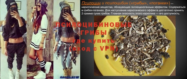 дмт Алексин