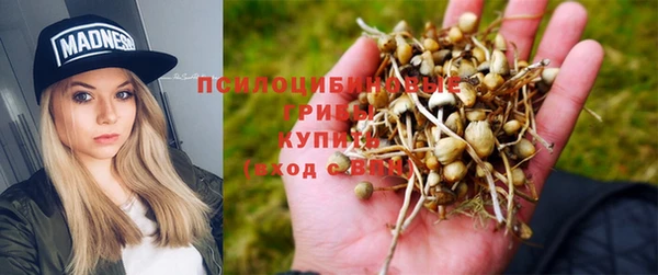 синтетический гашиш Алексеевка
